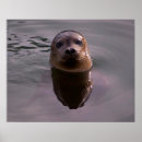Zoek naar marien dier posters Nautisch