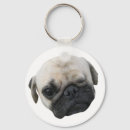 Zoek naar schattige pug sleutelhangers Grappig