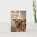 Zoek naar grappige cake posters Dieren