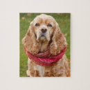 Zoek naar cocker spaniel puzzels Dier