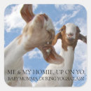 Zoek naar geit stickers Elk persoon