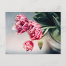 Zoek naar vaas briefkaarten Botanisch