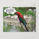 Zoek naar bizar briefkaarten Gekke