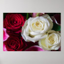 Zoek naar boeket rozen posters Zomer