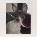 Zoek naar hond chihuahua puzzels Hondenliefhebber