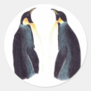 Zoek naar pinguïn liefde stickers Vogel
