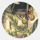 Zoek naar zwarte insecten stickers Limonade