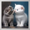 Zoek naar katje posters Elk persoon