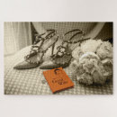 Zoek naar vrouw puzzels Elk persoon