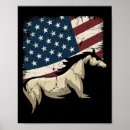 Zoek naar dressuur paard kunst Cowgirl