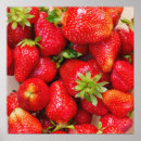 Zoek naar ooievaar posters Voor iedereen