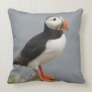 Zoek naar antarctica kussens Natuur
