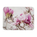 Zoek naar bloem lucht magneten Magnolia