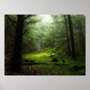Zoek naar montagne posters Bos