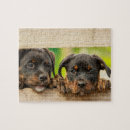 Zoek naar rottweiler puzzels Schattig