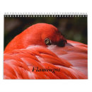 Zoek naar flamingo kalenders Vogels