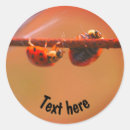 Zoek naar evenwicht stickers Schattig