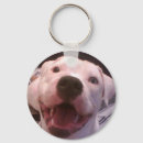Zoek naar amerikaanse bulldog sleutelhangers Schattig