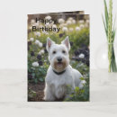 Zoek naar schotse terrier kaarten Voor iedereen