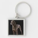 Zoek naar weimaraner sleutelhangers Studio shot