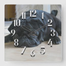 Zoek naar pugs klokken Elk persoon