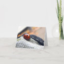 Zoek naar insecten kaarten Voor iedereen