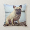 Zoek naar franse buldog kussens Huisdieren