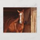 Zoek naar blazen briefkaarten Elk persoon