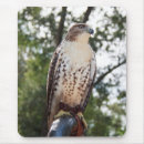 Zoek naar roofvogel muismatten Raptor