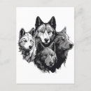 Zoek naar grijze wolven briefkaarten Wolvenportret