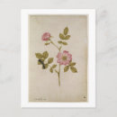 Zoek naar moyne posters 1533 88