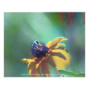 Zoek naar eye kunst Natuur