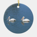 Zoek naar pelikaan ornamenten Voor iedereen