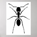 Zoek naar zwarte mier posters Entomologie