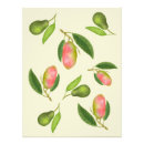 Zoek naar mango kunst Vintage