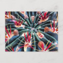 Zoek naar crazy briefkaarten Kleurrijk