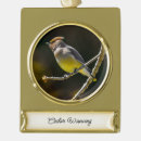 Zoek naar vogels ornamenten Foto