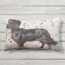 Zoek naar dachshund kussens Langharig