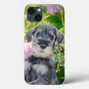 Zoek naar schattige honden iphone hoesjes Dochter