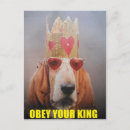 Zoek naar jachthonden briefkaarten Basset