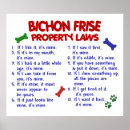 Zoek naar bichon frise kunst Grappig