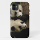 Zoek naar fauna iphone hoesjes Beer