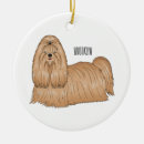 Zoek naar shih tzu ornamenten Hond