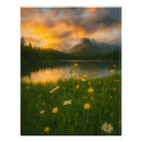 Zoek naar de van het berglandschap posters Wilde bloemen