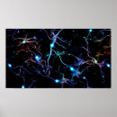 Zoek naar neuronen posters Wetenschap