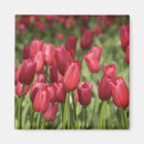 Zoek naar keukenhof magneten Reizen