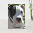 Zoek naar pittbull Pitbull