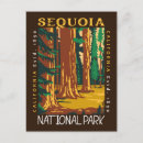 Zoek naar sequoia briefkaarten Sequoia national park