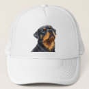 Zoek naar rottweiler petten Schattig