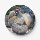 Zoek naar haan borden Vogel